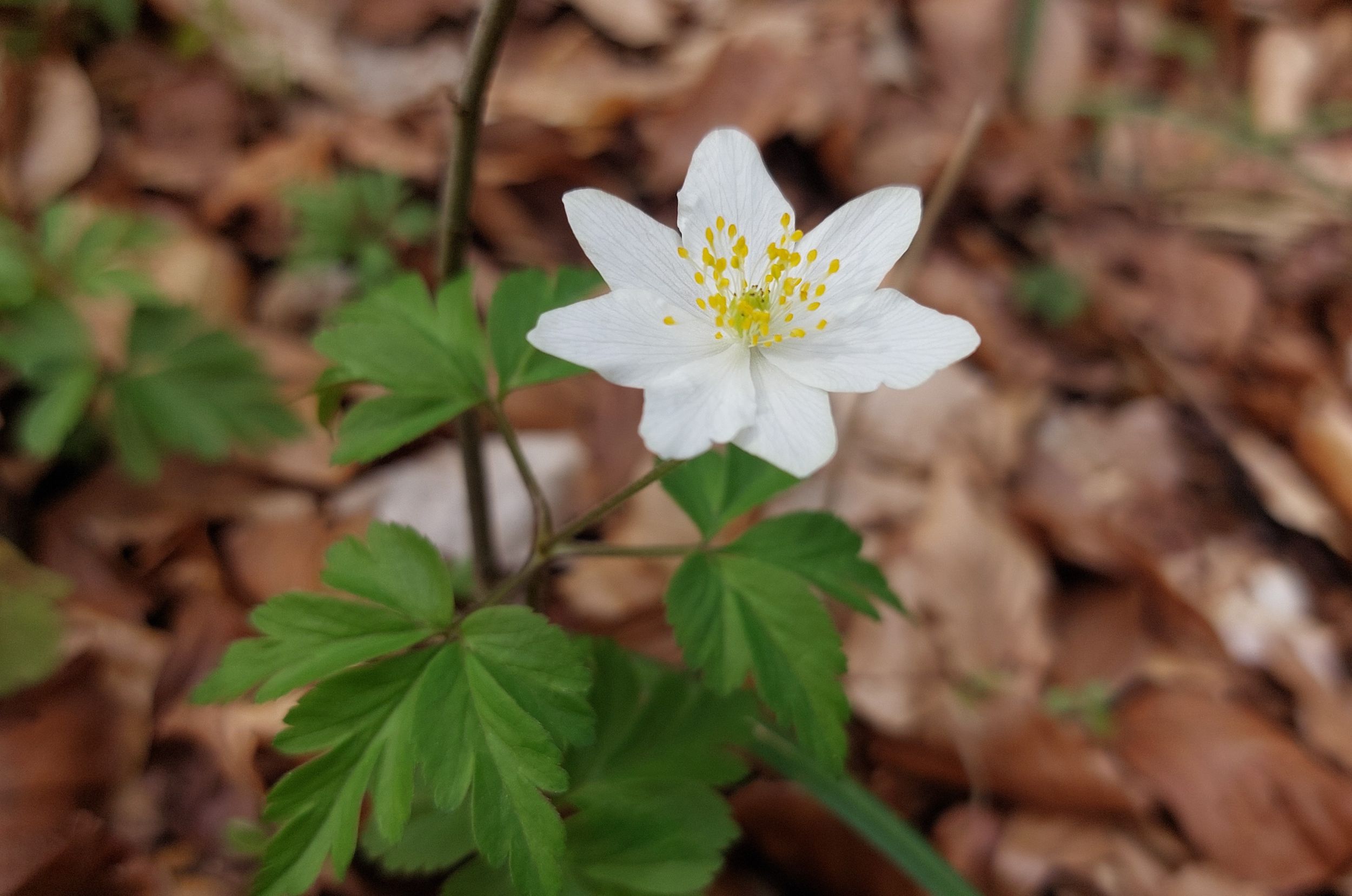 Slide 3 Slide background